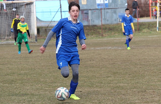 仅是积分榜 仅是积分榜