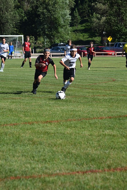 狄龍布魯克 狄龍布魯克