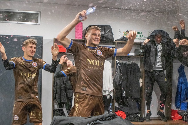 豪强的竞争 豪强的竞争