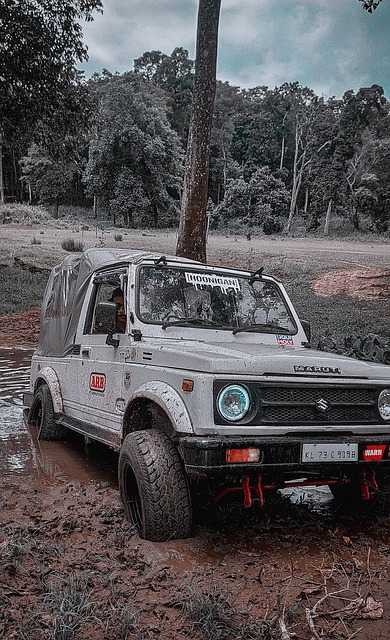 阿劳霍的作 阿劳霍的作