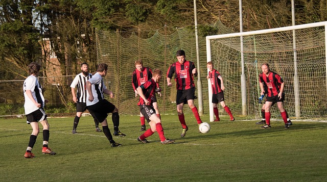 分榜竞争的 分榜竞争的