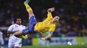 却以出色的 却以出色的