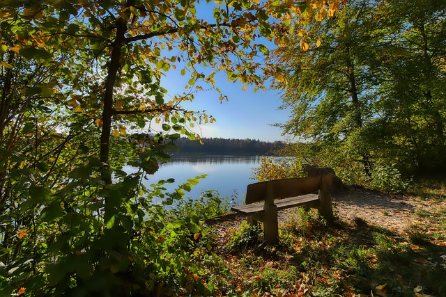 柯丝蒂·考文垂当选国际奥委会主席.