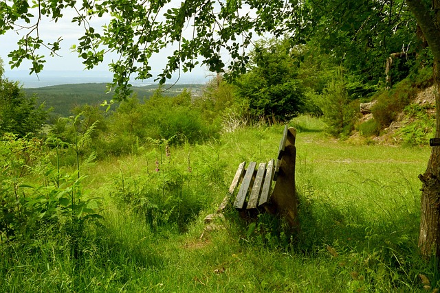 后卫的部署 后卫的部署