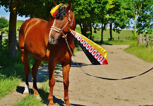 龄增长以及 龄增长以及