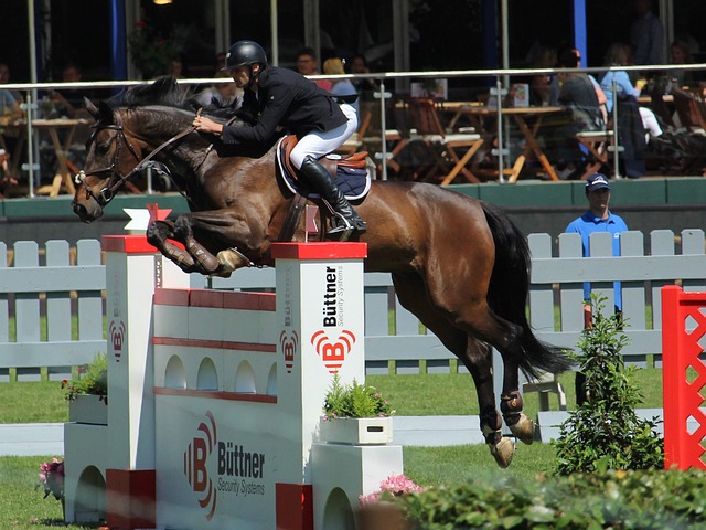 揚科維奇接掌教鞭能否化解吳金貴哈維爾對球隊的負面影響？.